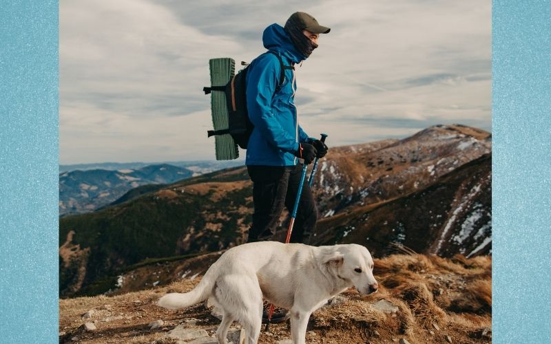 Tips for Hiking with Pets