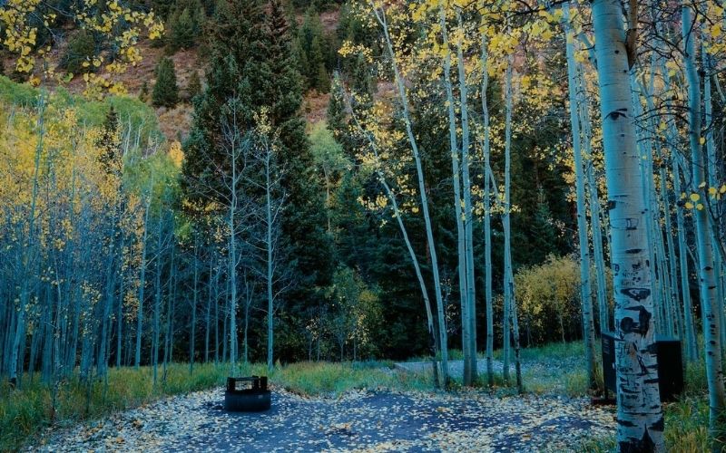 hotspots for free camping in Colorado