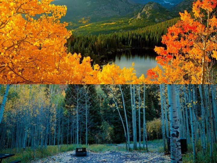 The Hotspots‌ ‌for‌ ‌Free‌ ‌Camping‌ ‌in‌ ‌Colorado‌