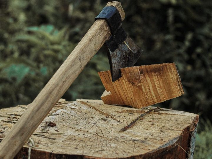 The Best Survival Hatchet – Backpackers’ Choice